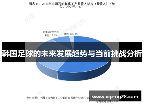 韩国足球的未来发展趋势与当前挑战分析