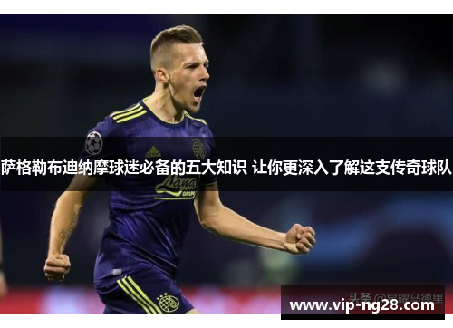 萨格勒布迪纳摩球迷必备的五大知识 让你更深入了解这支传奇球队