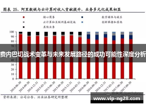 费内巴切战术变革与未来发展路径的成功可能性深度分析