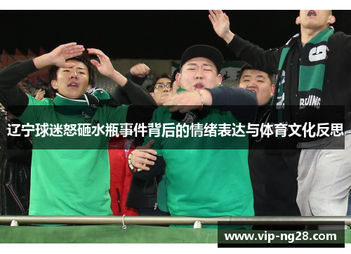 辽宁球迷怒砸水瓶事件背后的情绪表达与体育文化反思