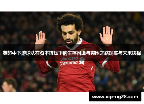 英超中下游球队在资本挤压下的生存困境与突围之路现实与未来抉择