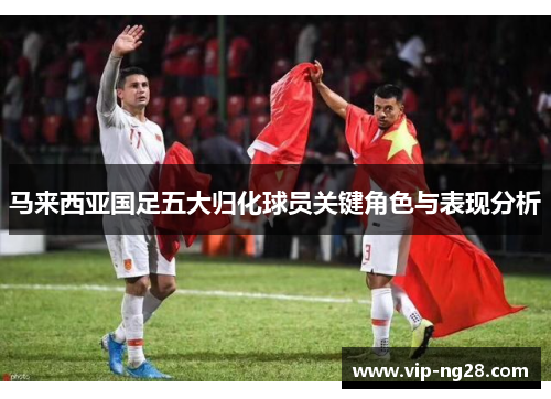 马来西亚国足五大归化球员关键角色与表现分析 马来西亚国足五大归化球员关键角色与表现分析