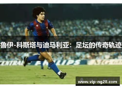 鲁伊-科斯塔与迪马利亚：足坛的传奇轨迹