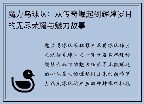 魔力鸟球队：从传奇崛起到辉煌岁月的无尽荣耀与魅力故事