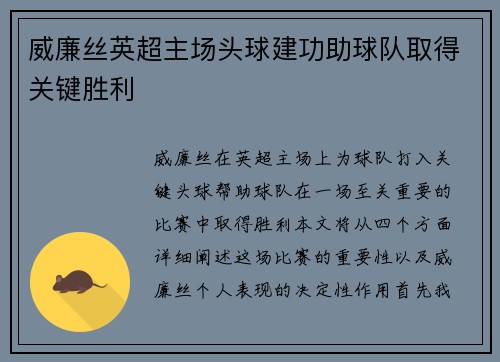 威廉丝英超主场头球建功助球队取得关键胜利